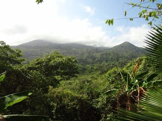 San Rafael - Tourist Inn in Tayrona