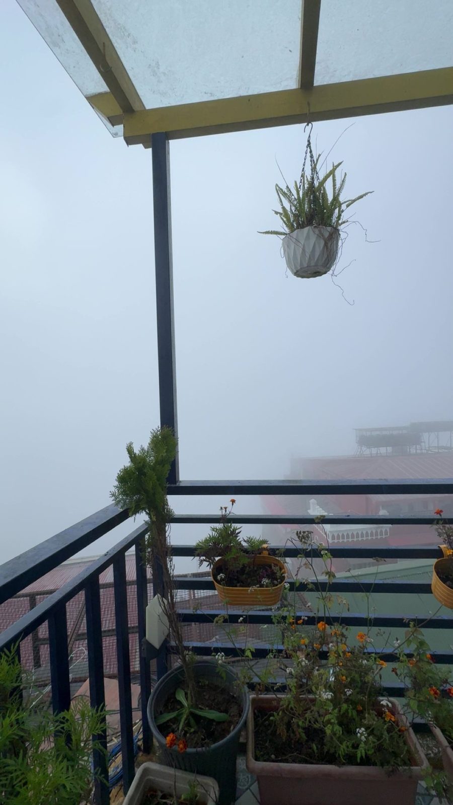Shalom Backpackers Mussoorie