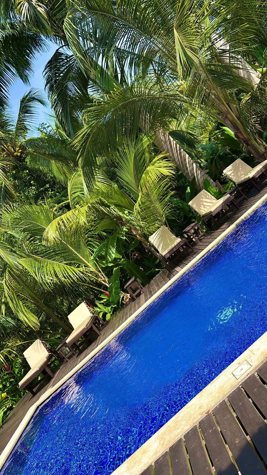 Casa Bambu Tayrona