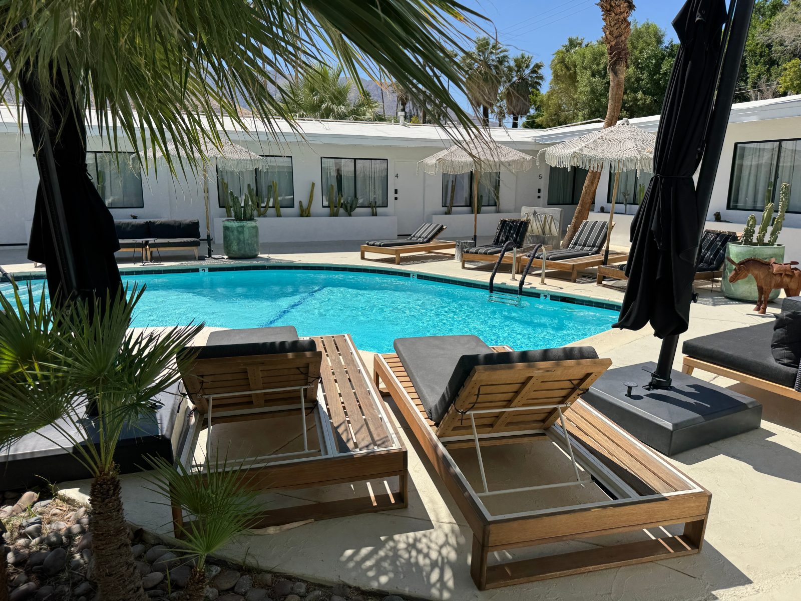Jazz Hotel Palm Springs