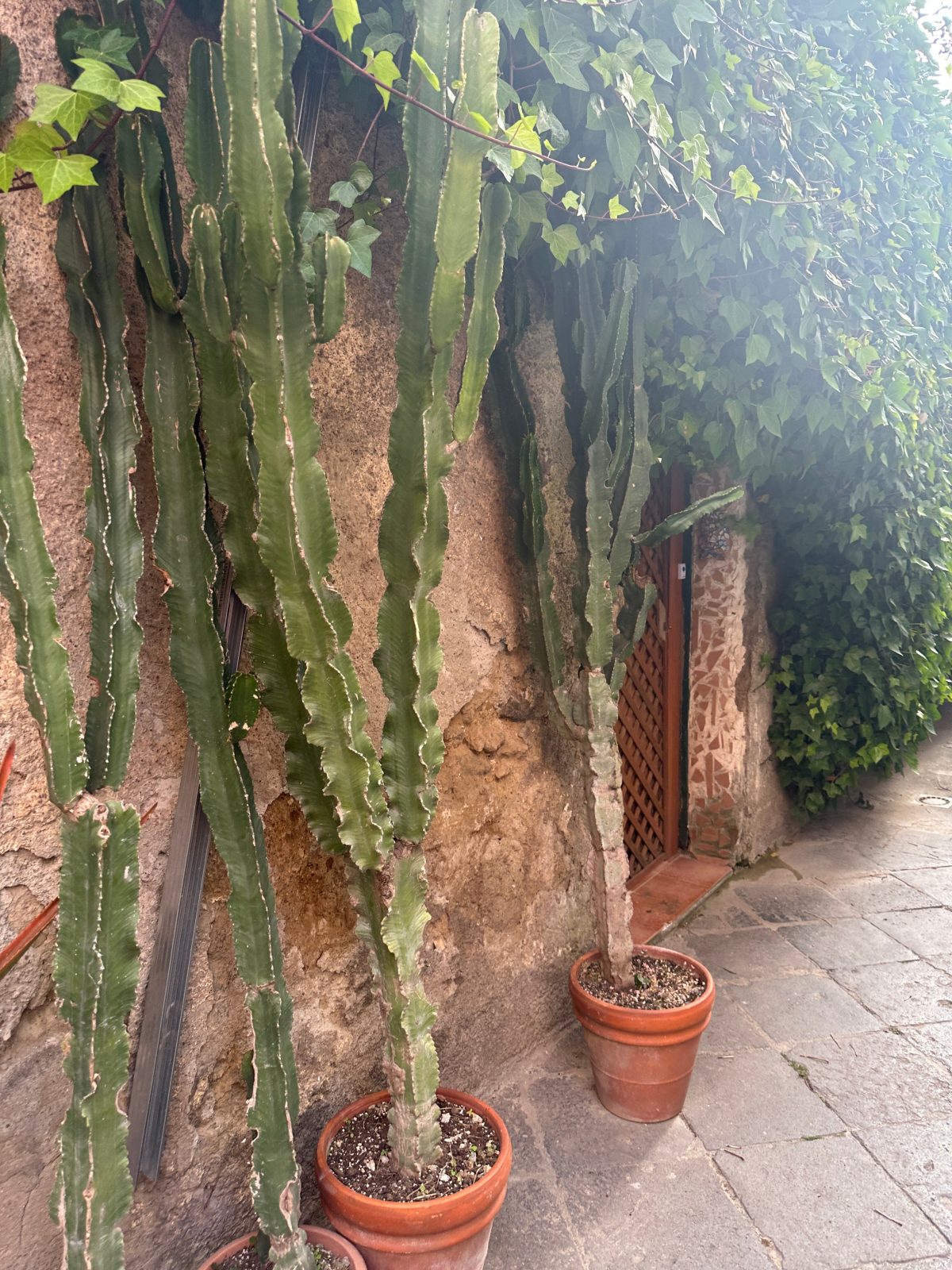 Ambasciata Sorrento Relais