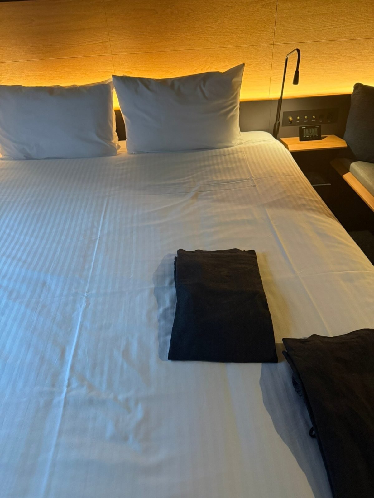 Grids Premium Hotel Kumamoto
