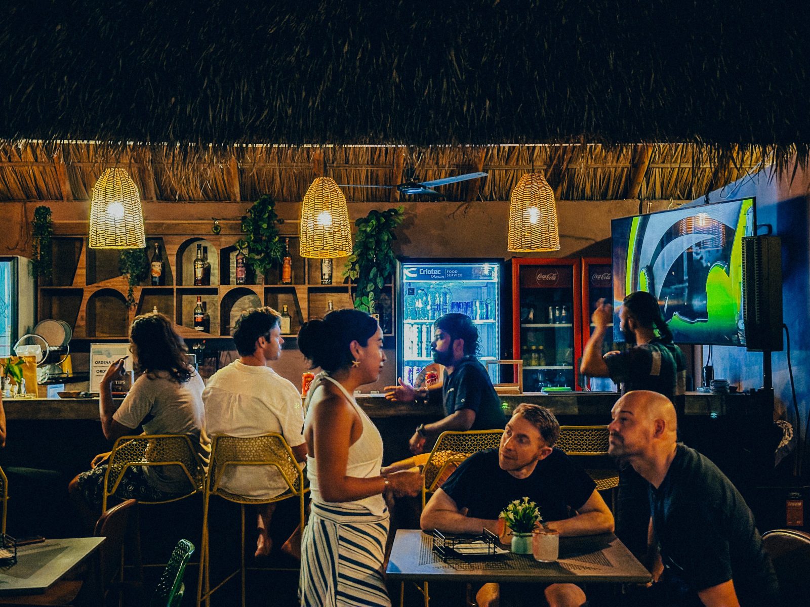Viajero Puerto Escondido