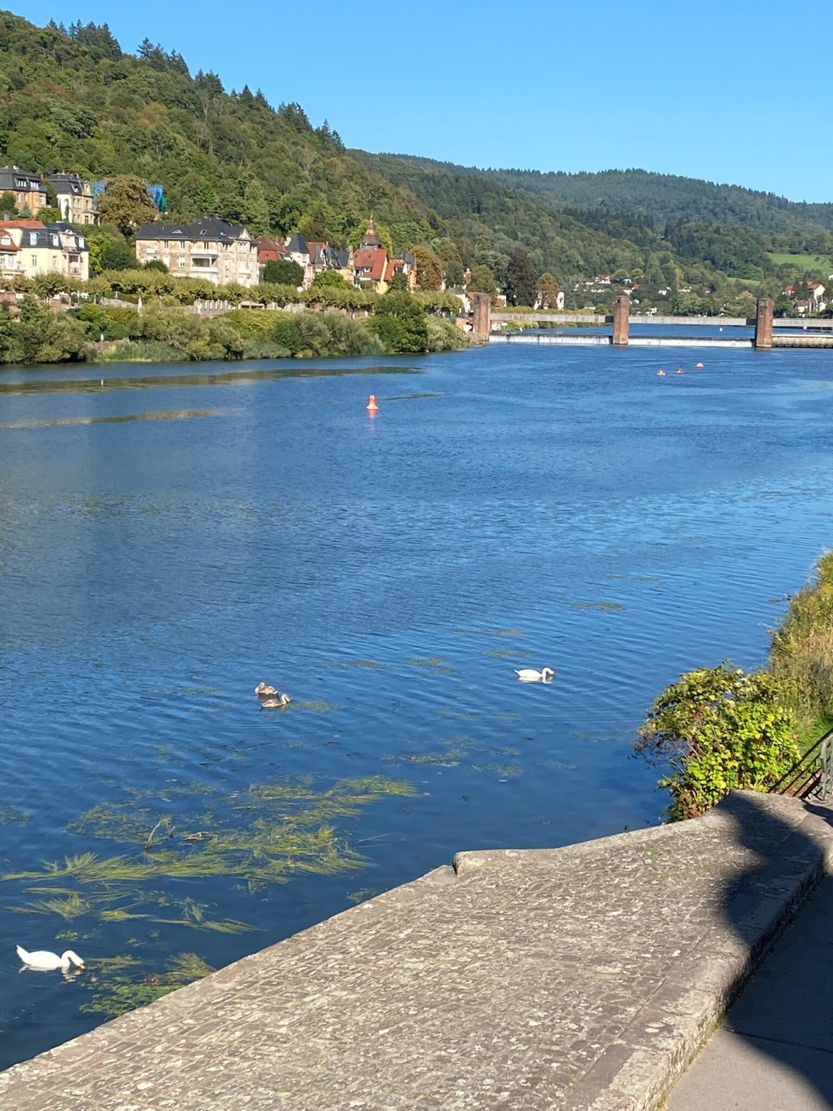 DK Hotel Heidelberg