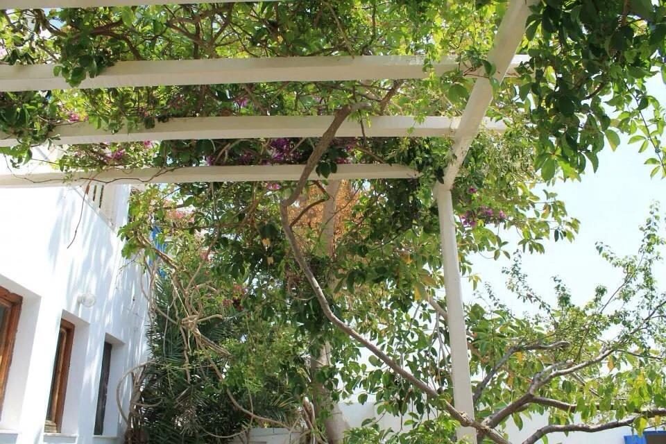 Young Inn Paros