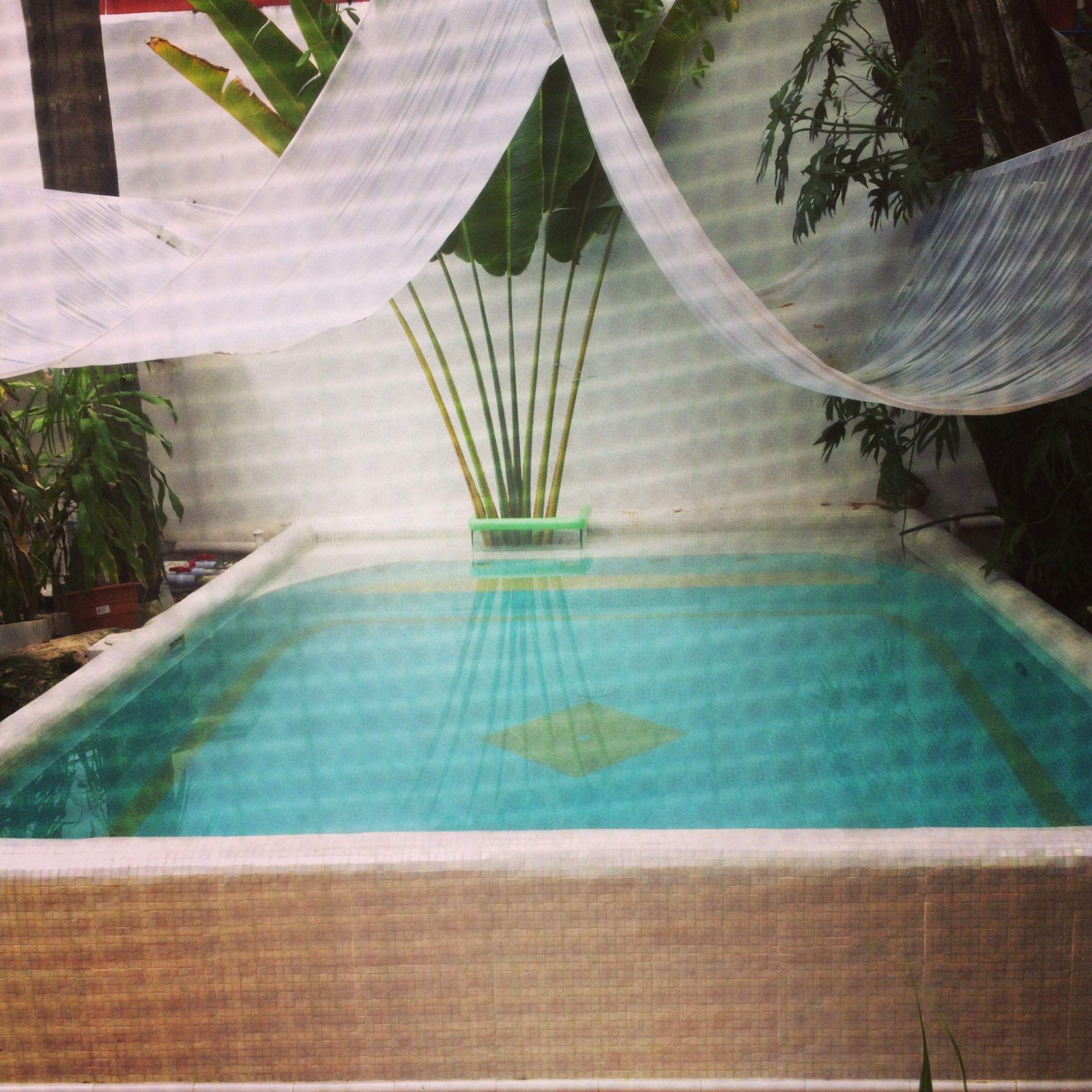 hotel rosa mirador