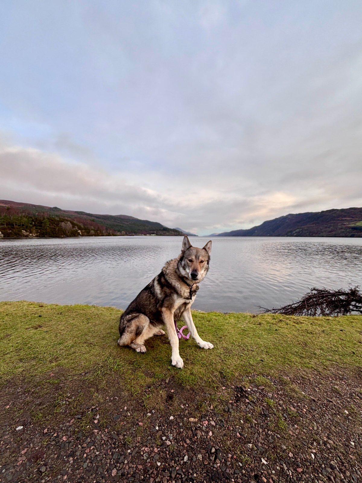 Loch Ness Caravan Park /aire