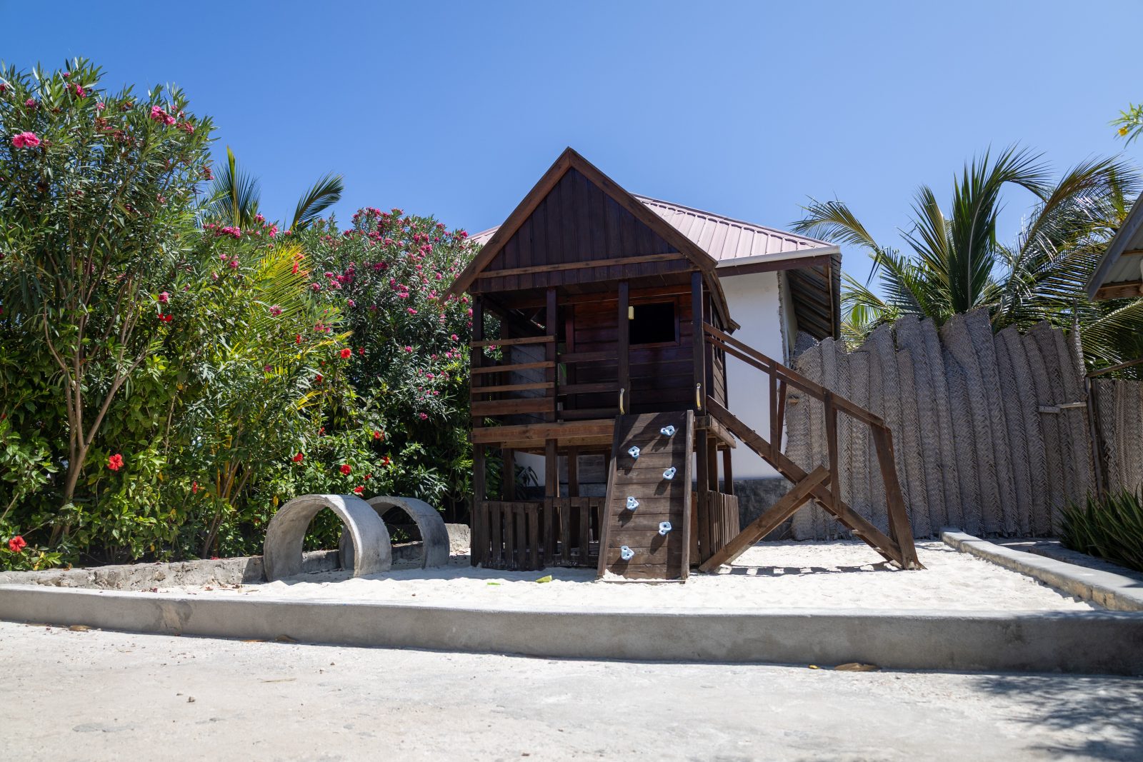 Blooming Zanzibar