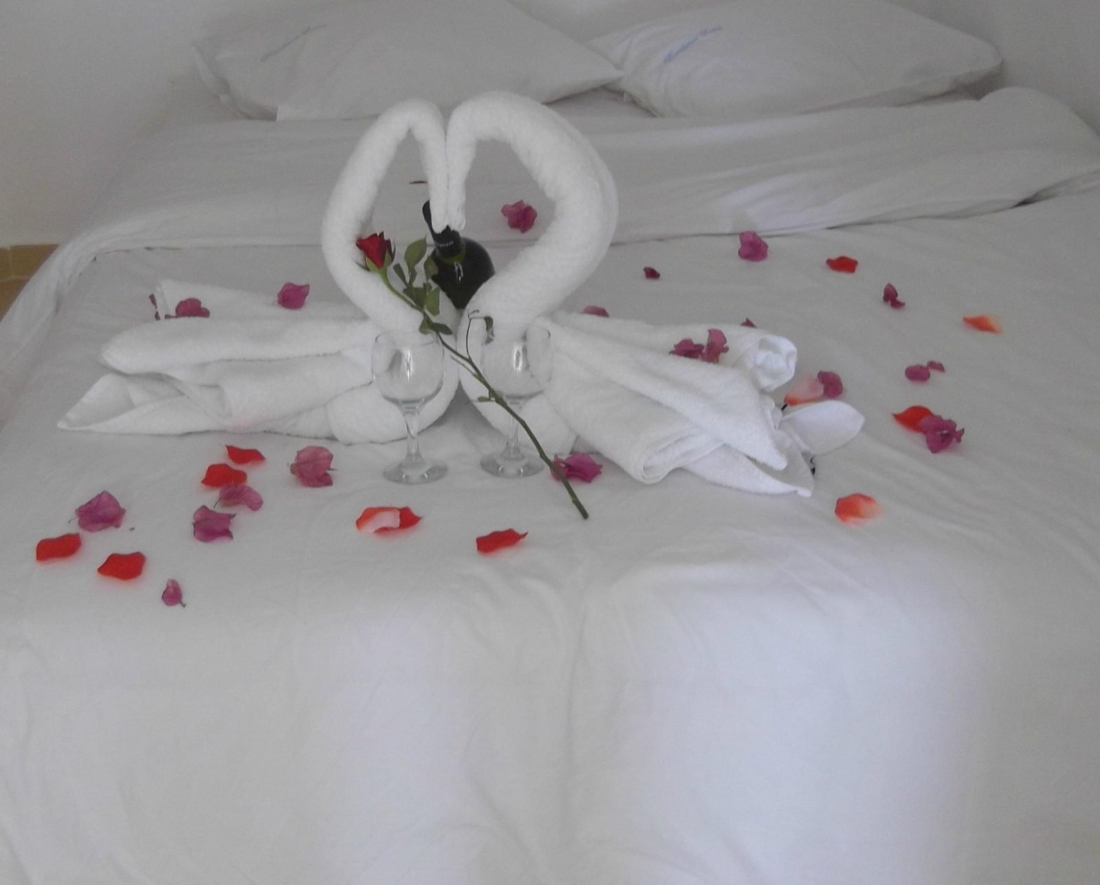 oia best western