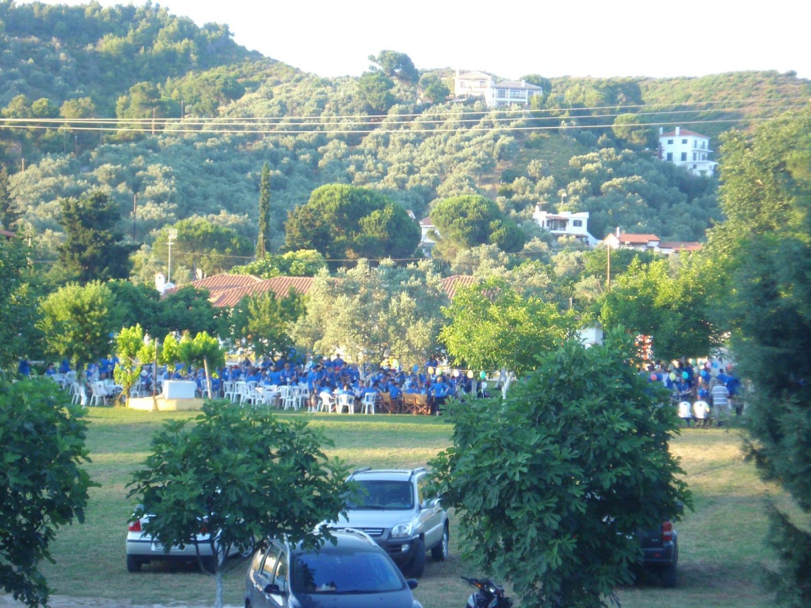 Green Meadow