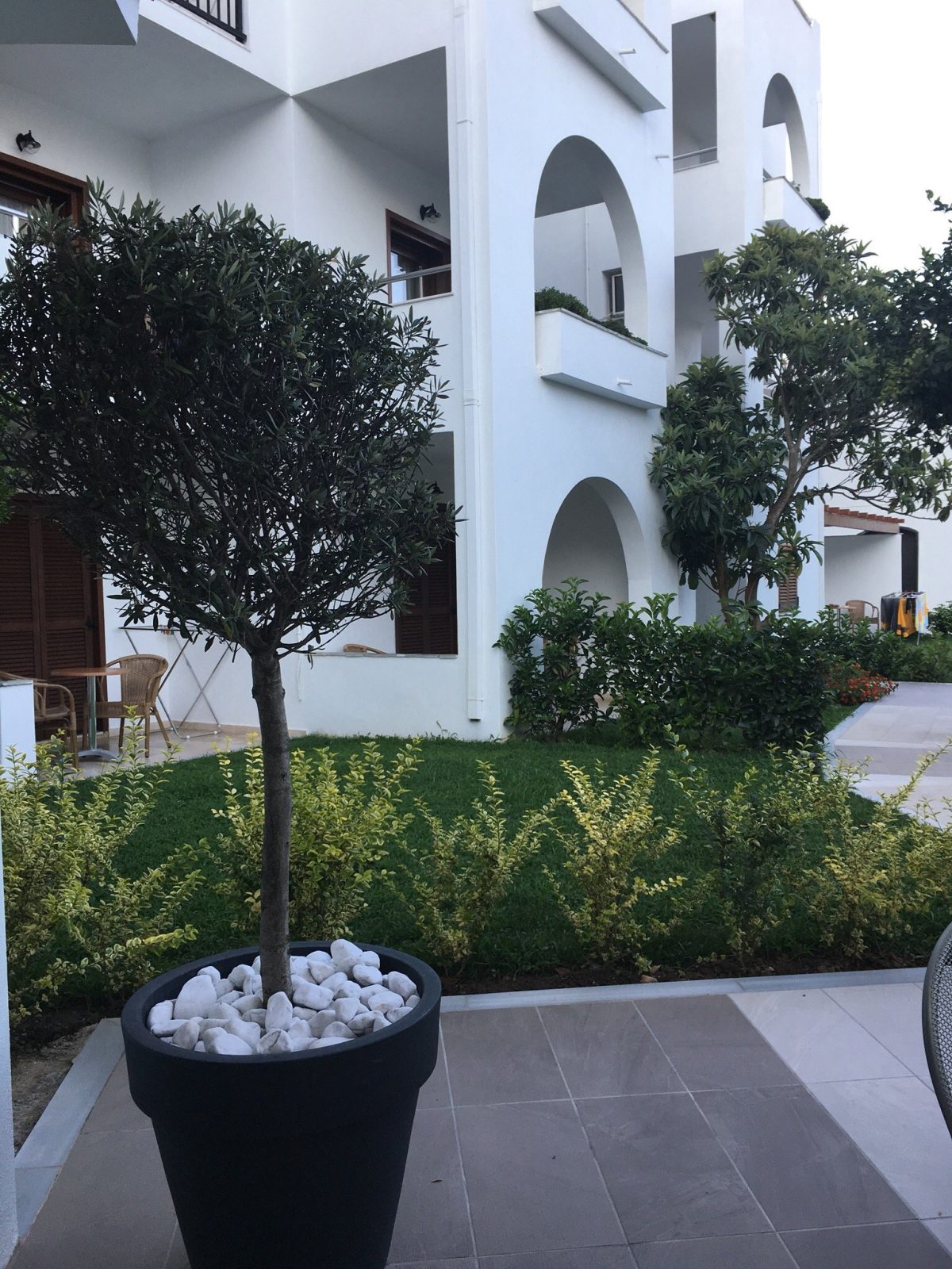 korali apartments hotel skiathos