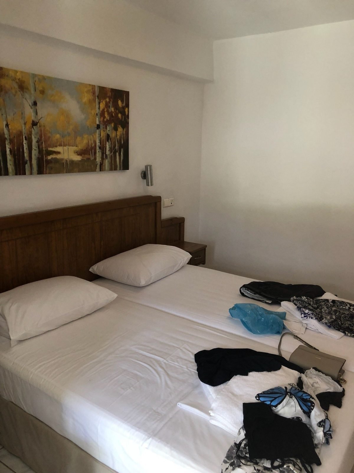 korali apartments hotel skiathos