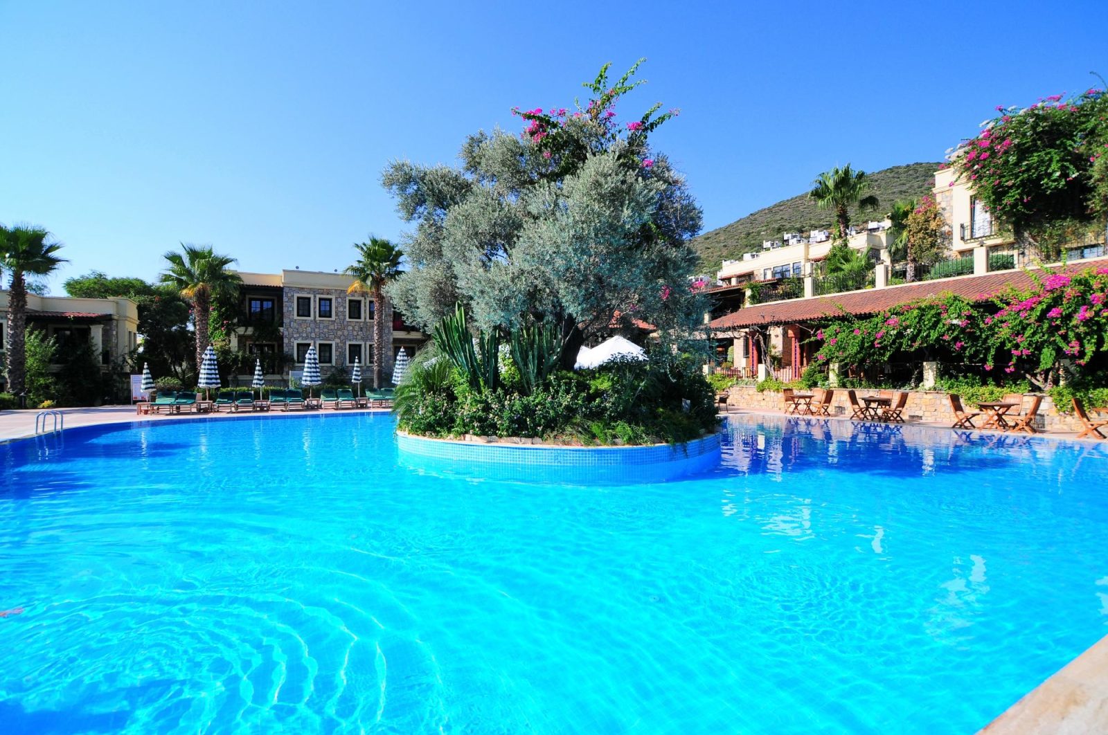 zeytinada hotel bodrum