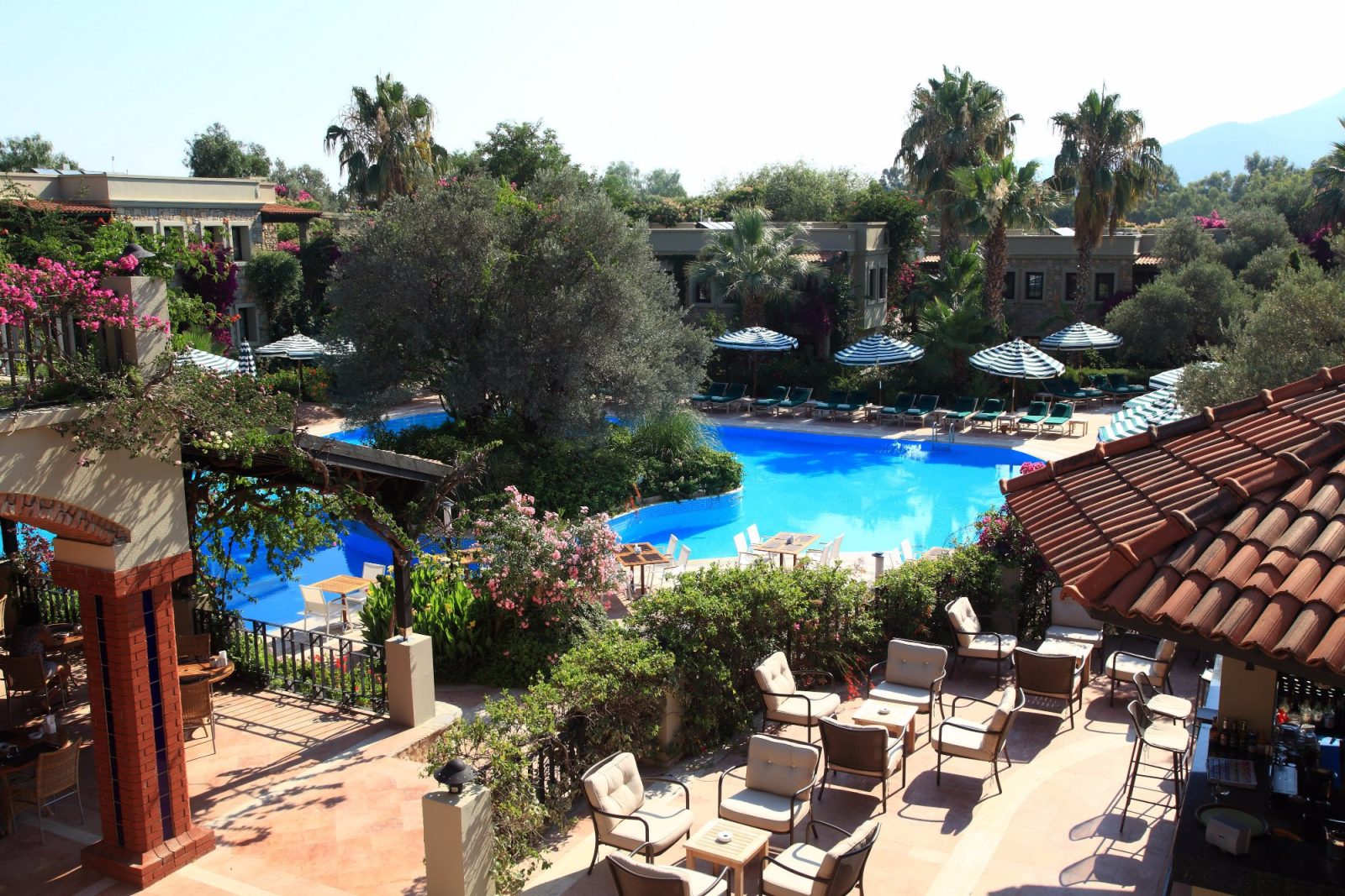 zeytinada hotel bodrum
