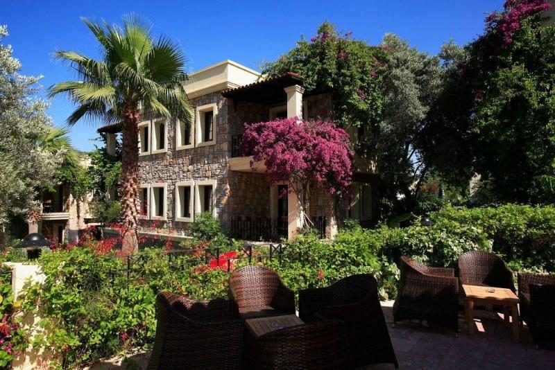 zeytinada hotel bodrum