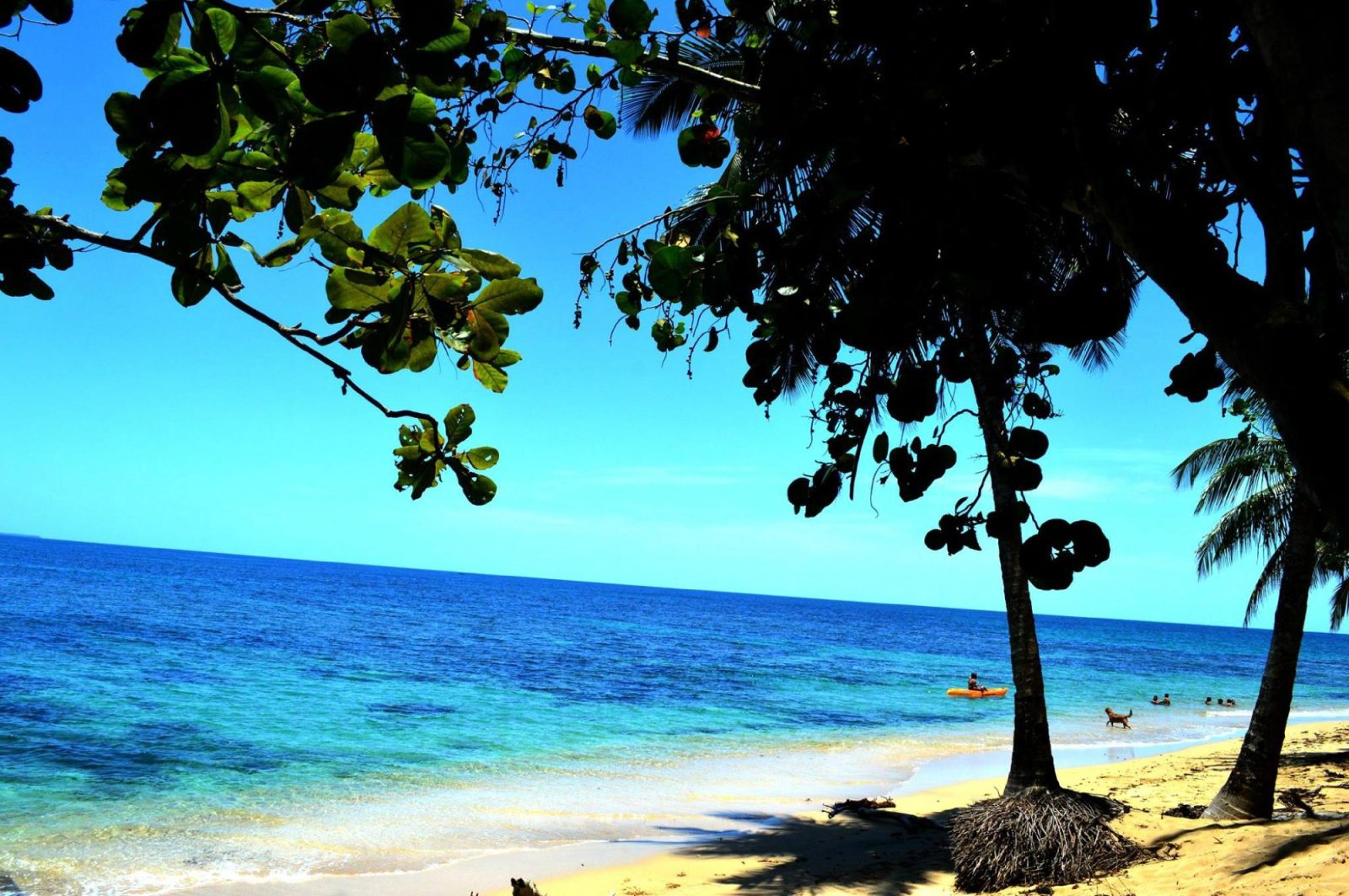 yare hotel puerto viejo