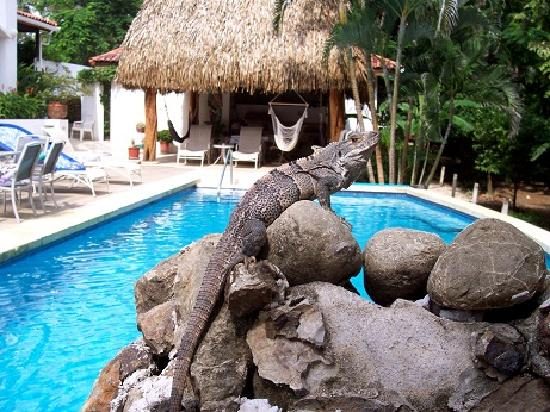 Villa Alegre - Bed and Breakfast on the Beach