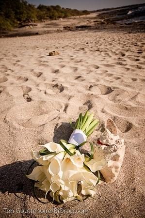 Villa Alegre - Bed and Breakfast on the Beach