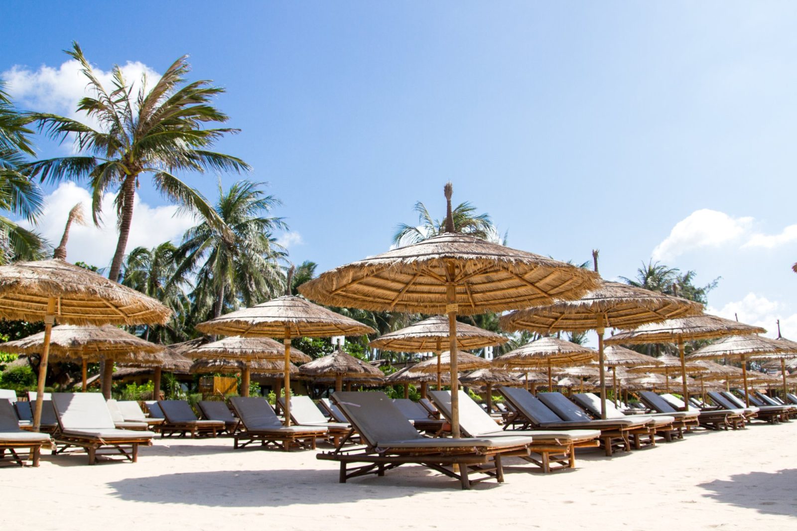 hotel bamboo village beach