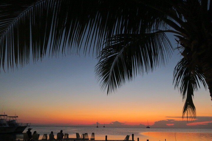 iguana reef hotel caye caulker