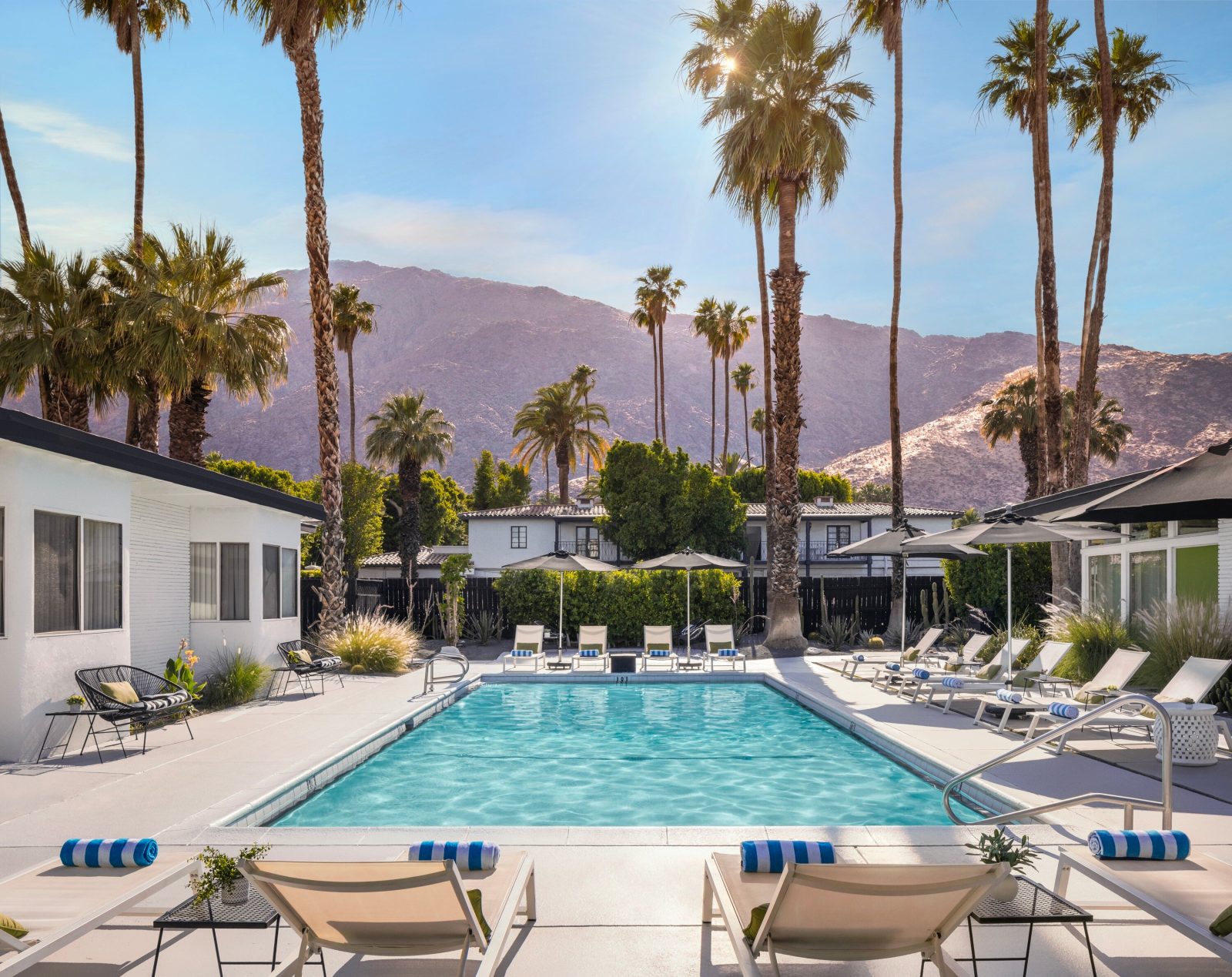 calla lily hotel palm springs