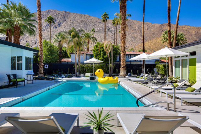 calla lily hotel palm springs