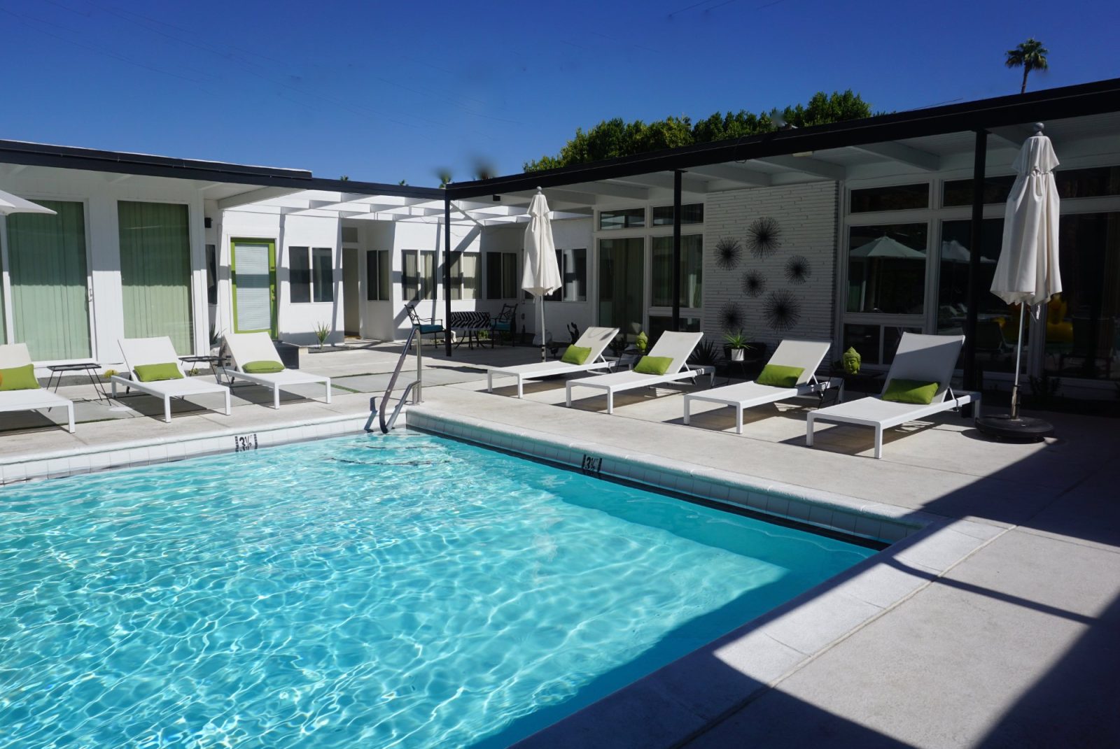 calla lily hotel palm springs