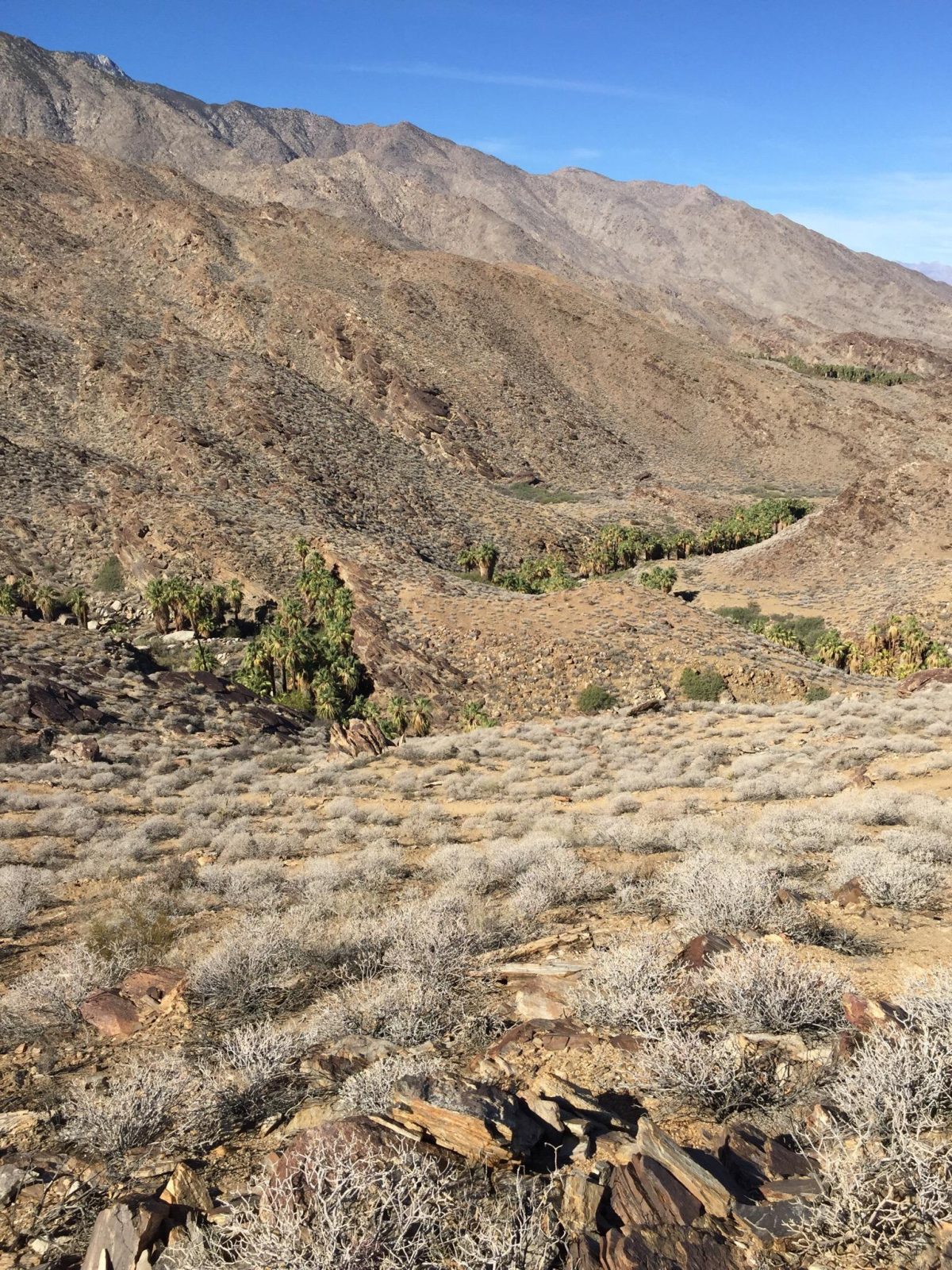 Smoke Tree Ranch
