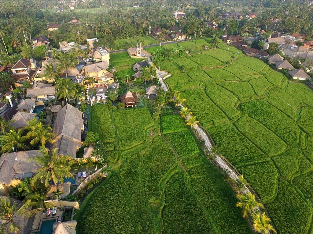 waka di ume ubud
