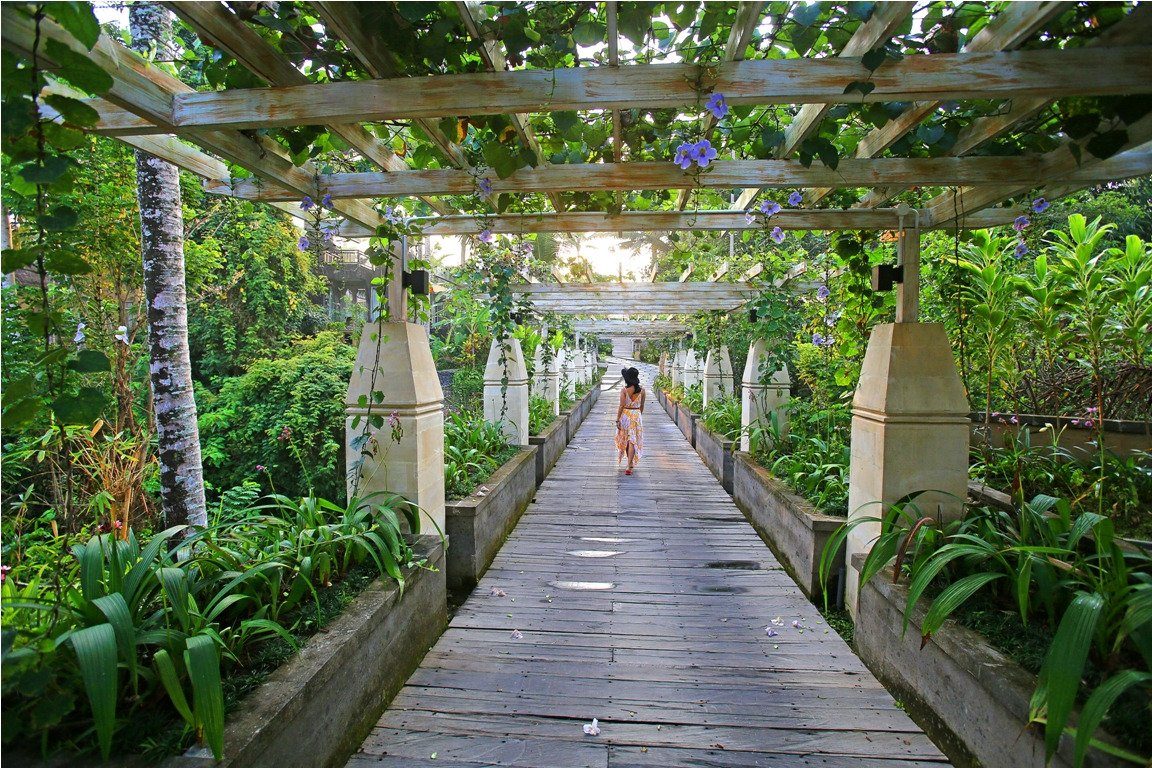waka di ume ubud