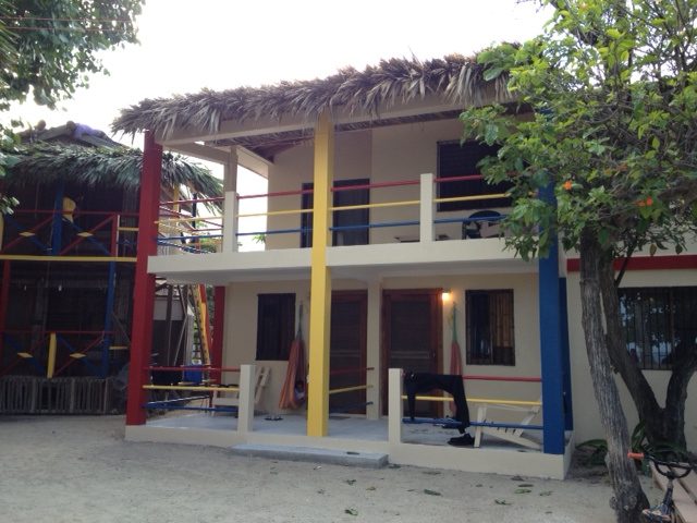 De Real Macaw