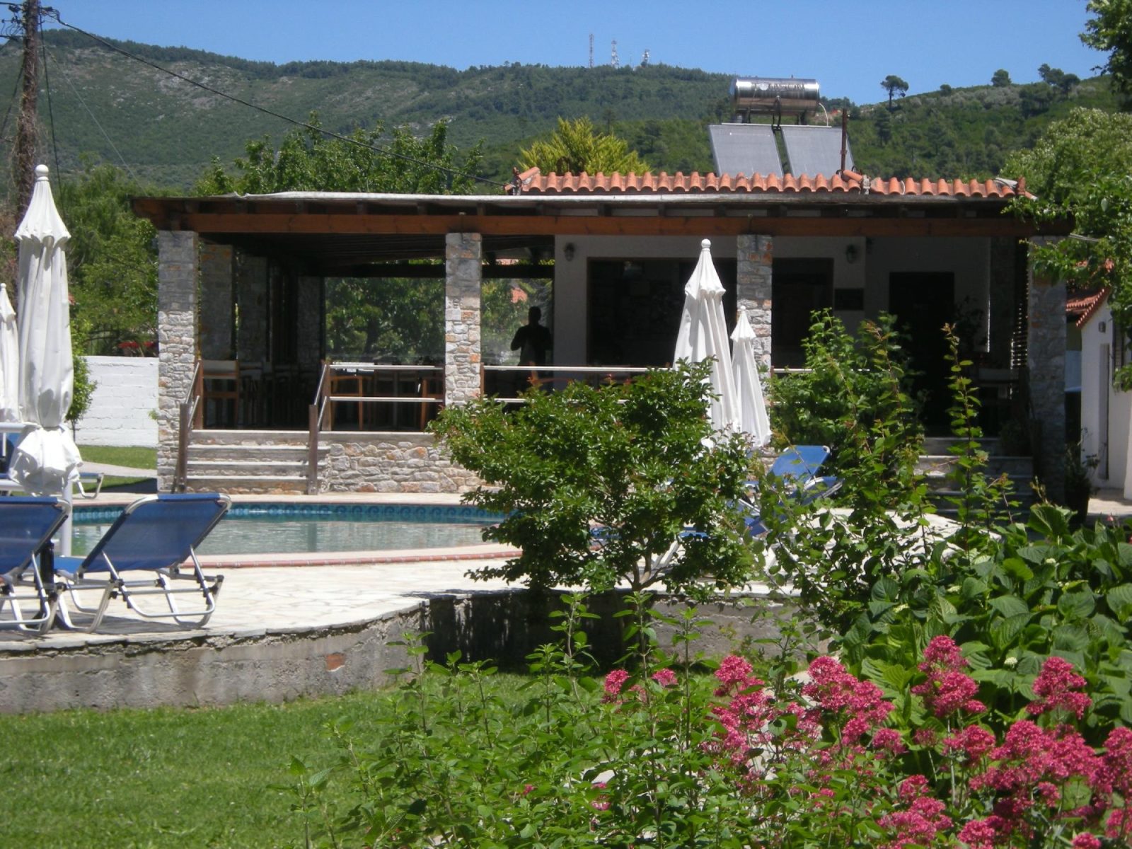 apartments skiathos