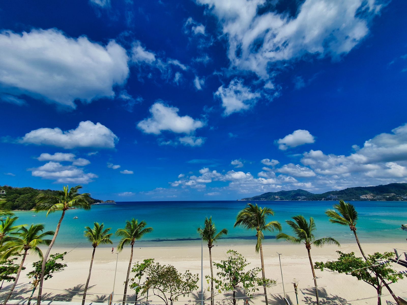 Sea Pearl Beach Tropical Oasis