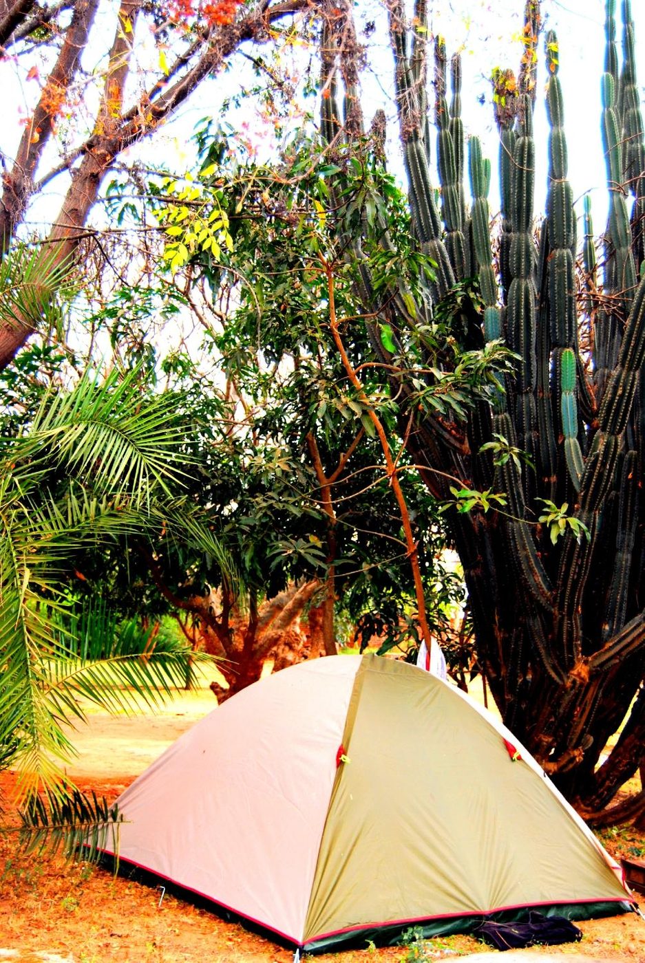 Welcome Lodge Lilongwe