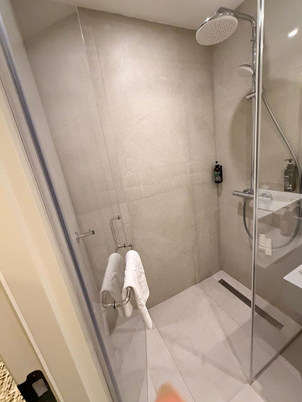 Renion Almaty Hotel