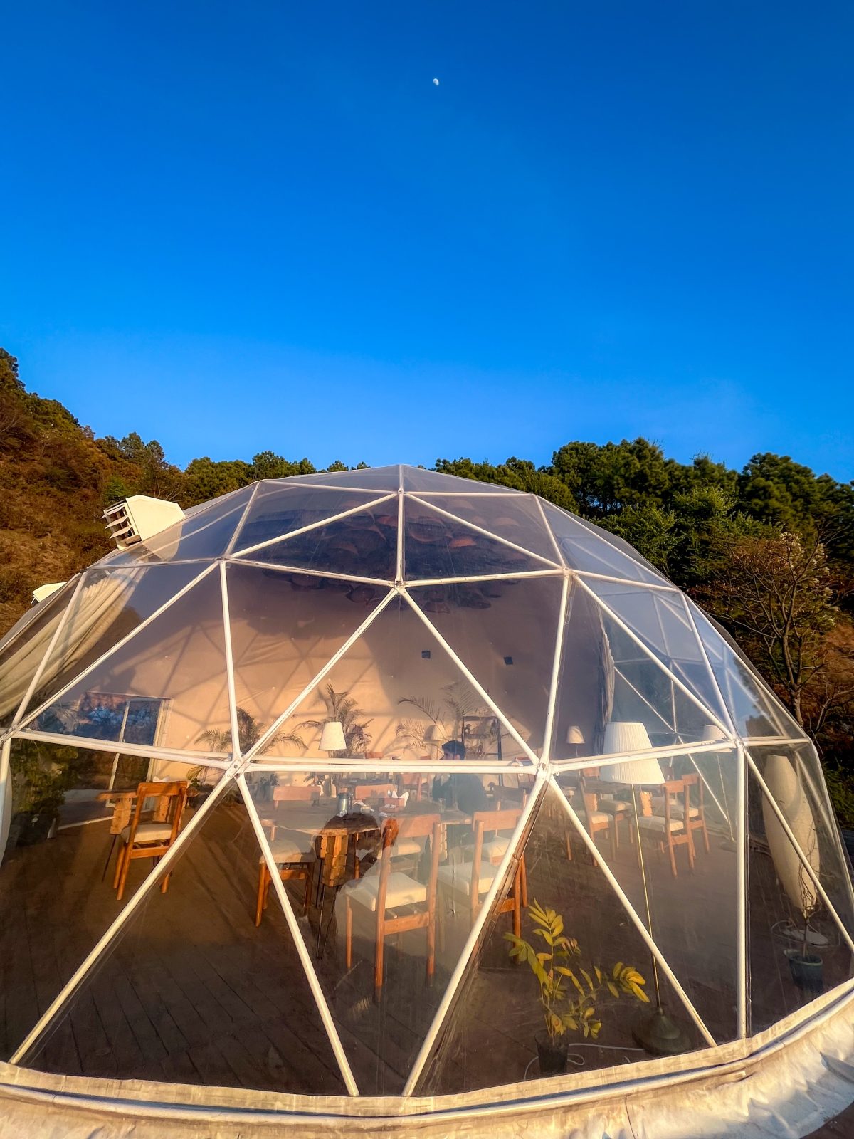 Silver Leaf: The Stardome, Dharamshala