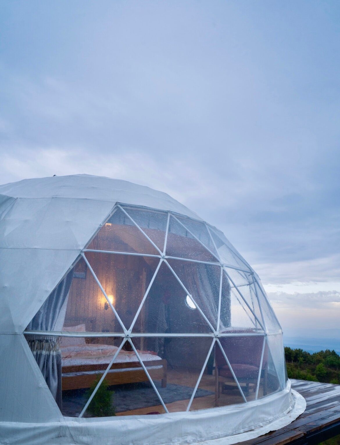 Silver Leaf: The Stardome, Dharamshala