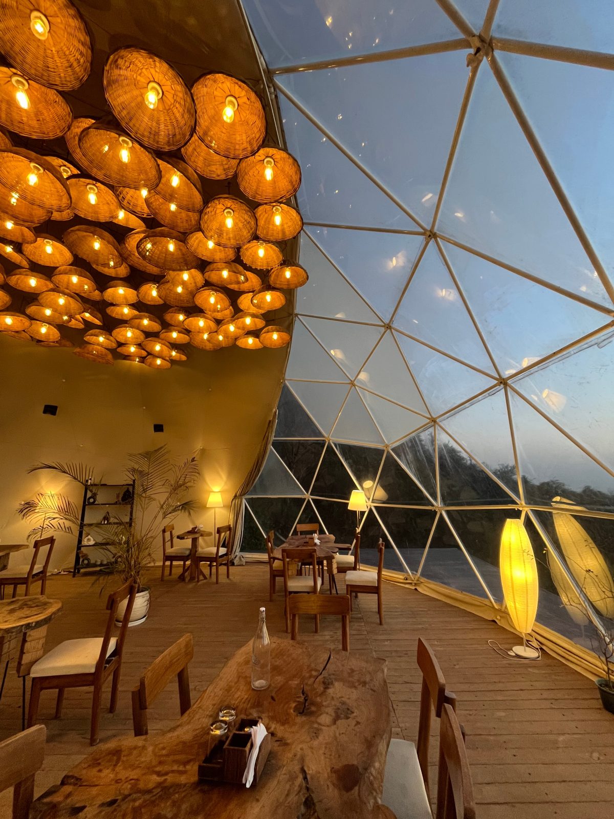 Silver Leaf: The Stardome, Dharamshala