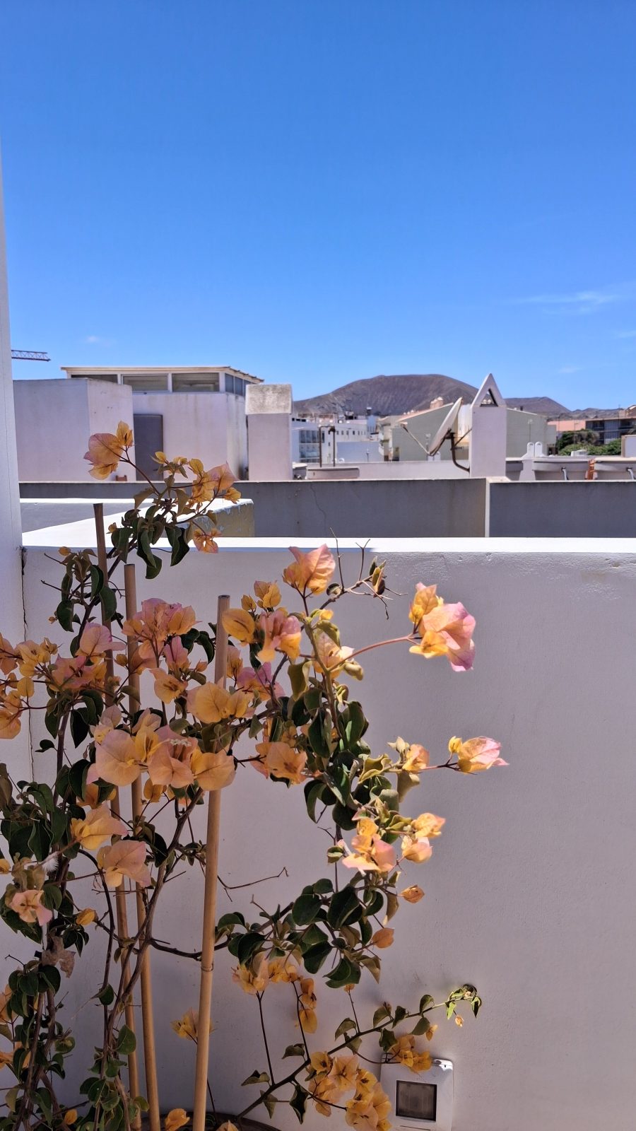 Chakra House Fuerteventura