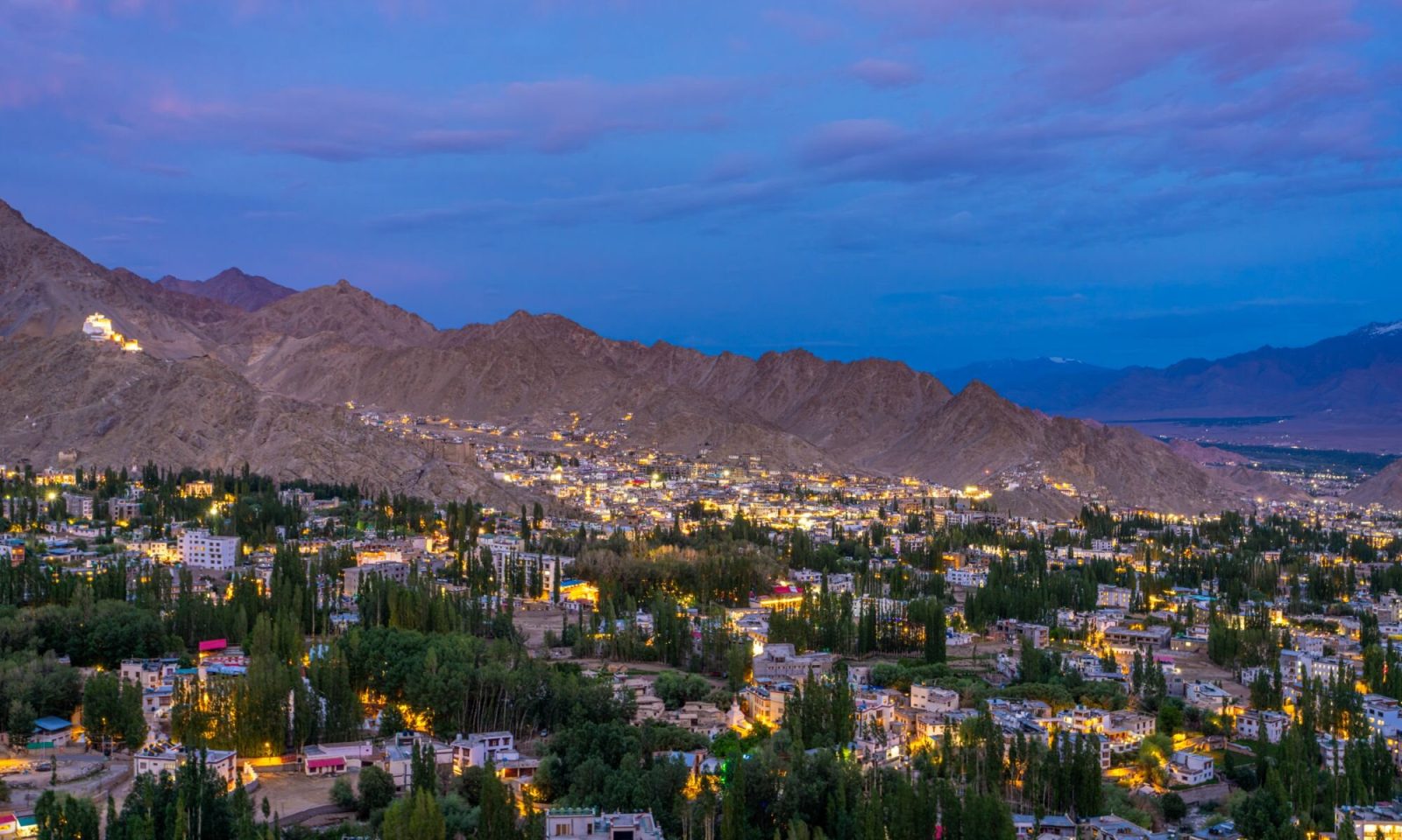 Hotel Bayshu - The Hosteller leh