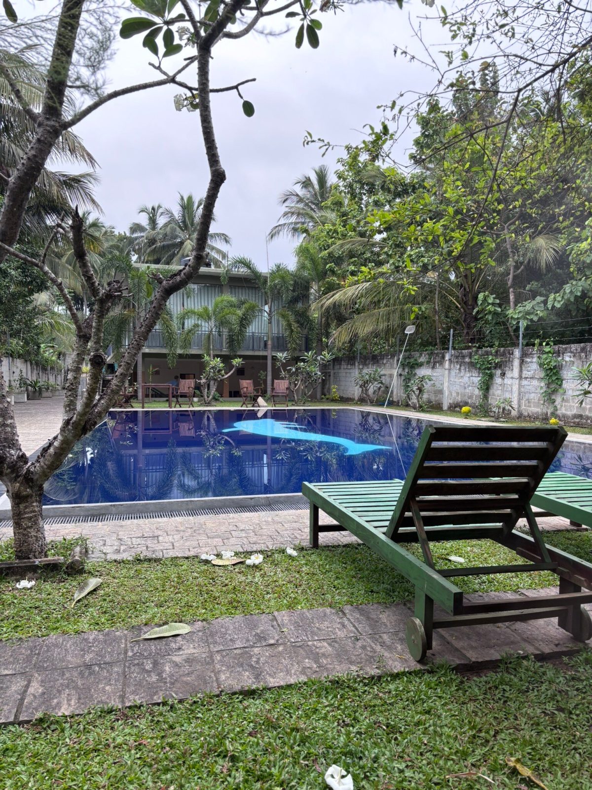Moi Dambulla By DBI