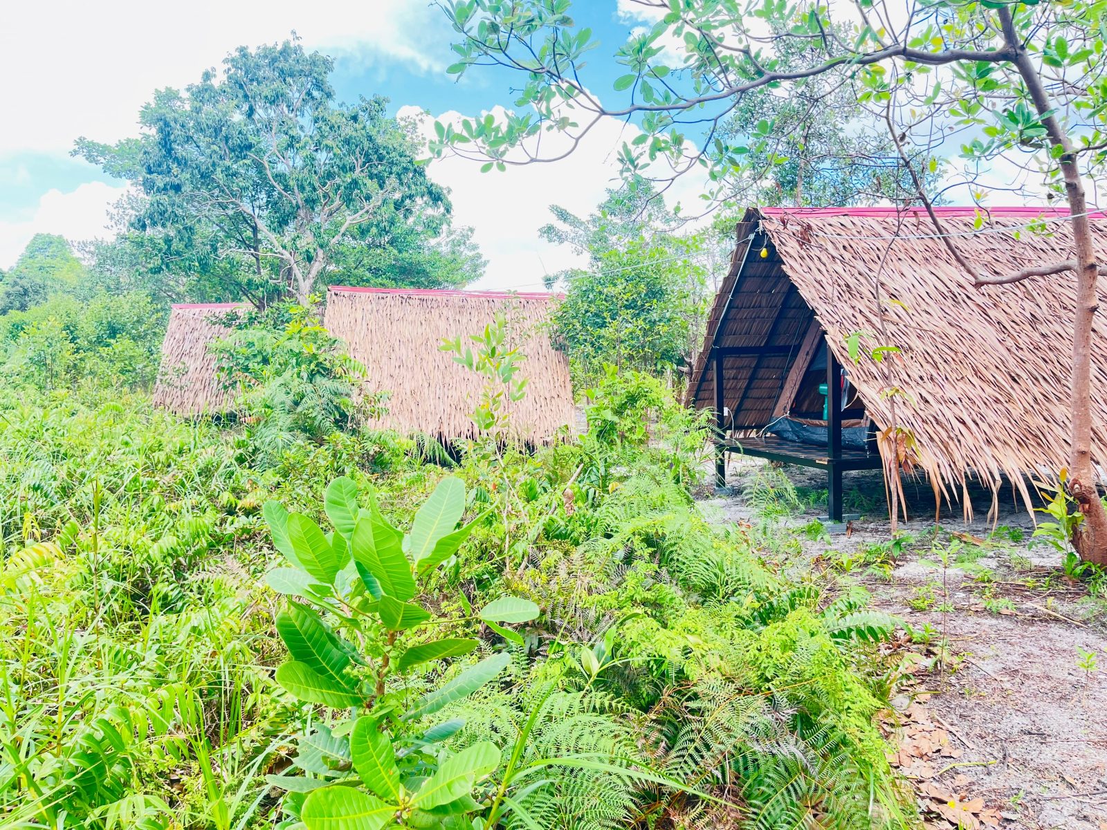 Veha Koh Rong