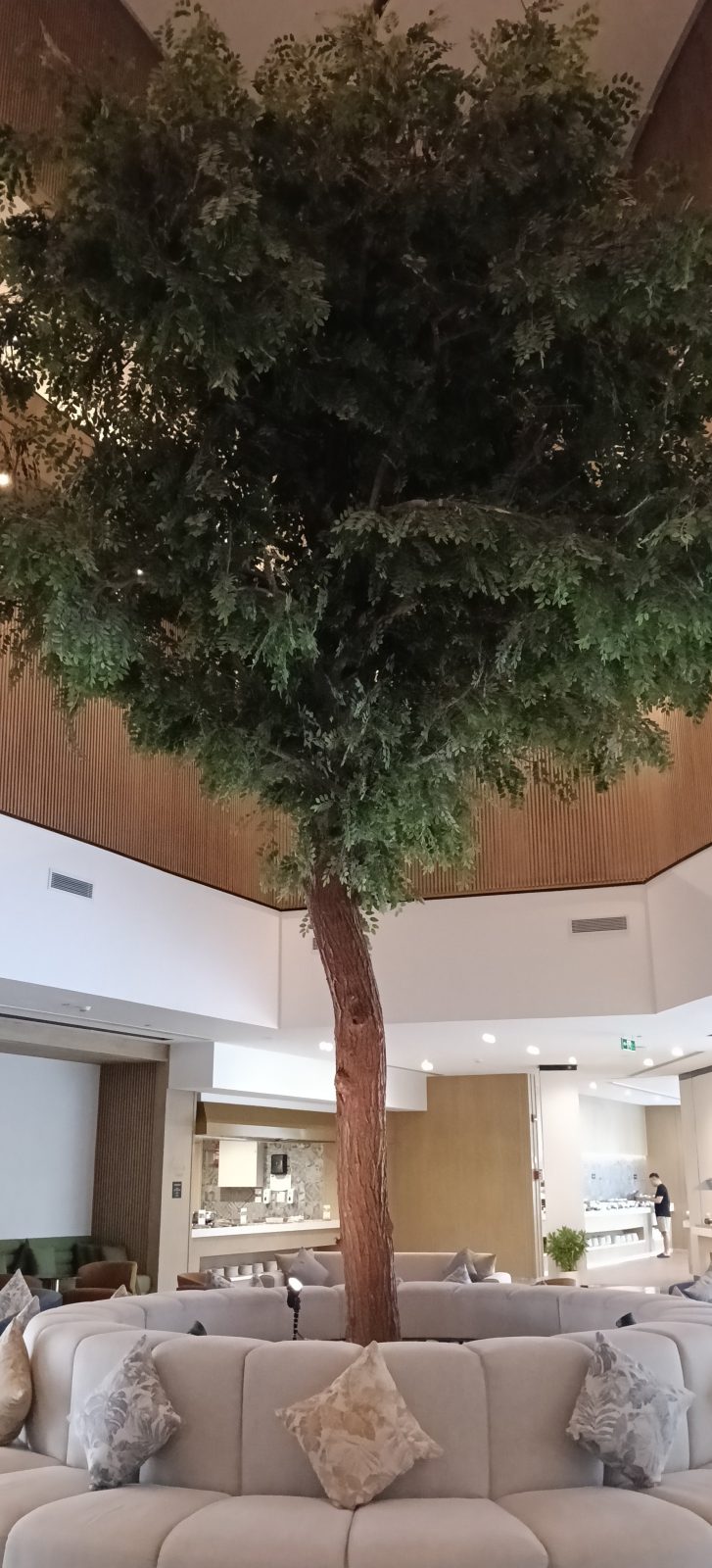 voco Cairo Arabella Plaza by IHG