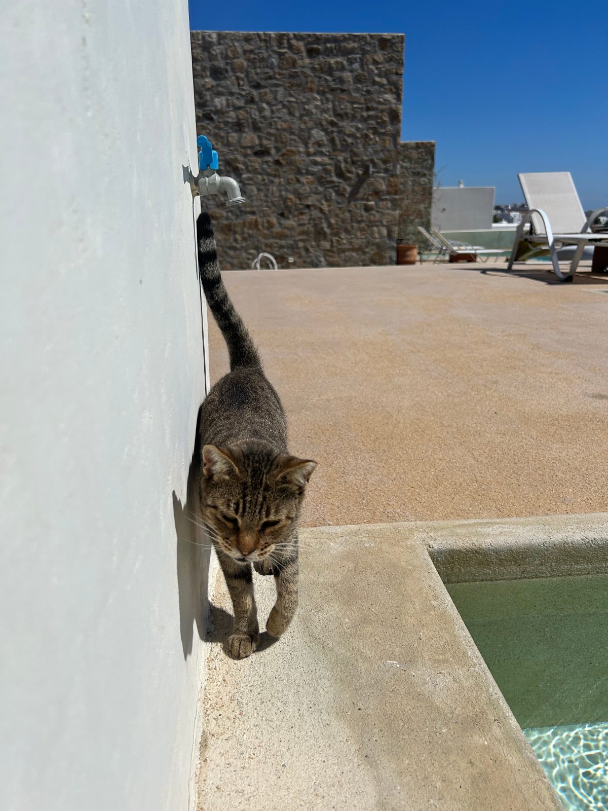 Adyton Mykonos Luxury Suites & Pools