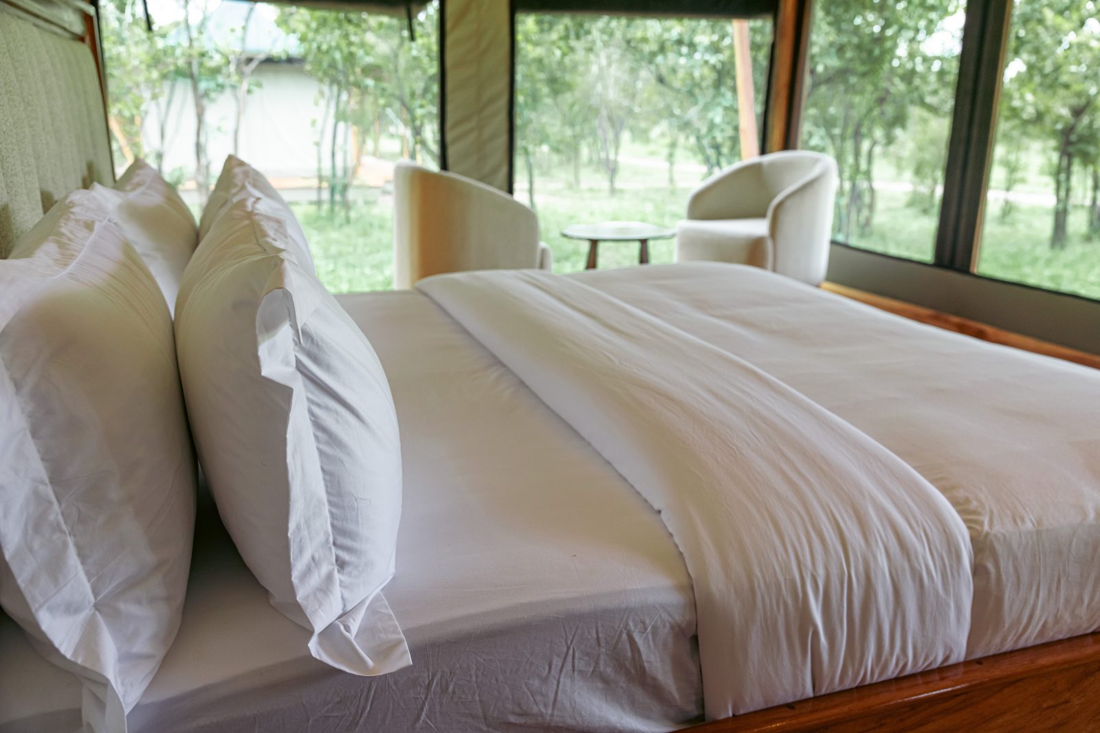 Safari Haven Tarangire