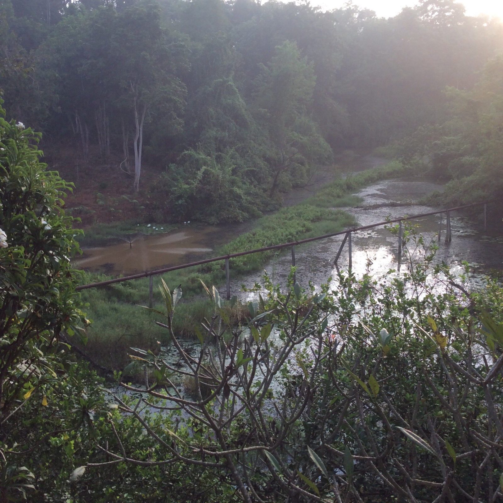 Pai 91.5 Resort