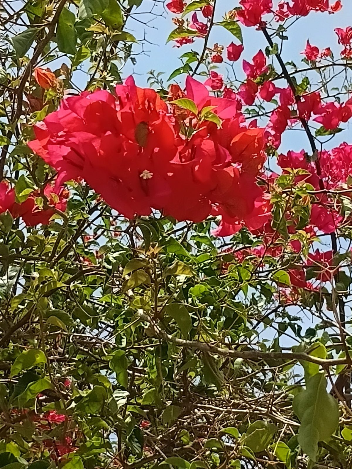 Solara Arugam Bay