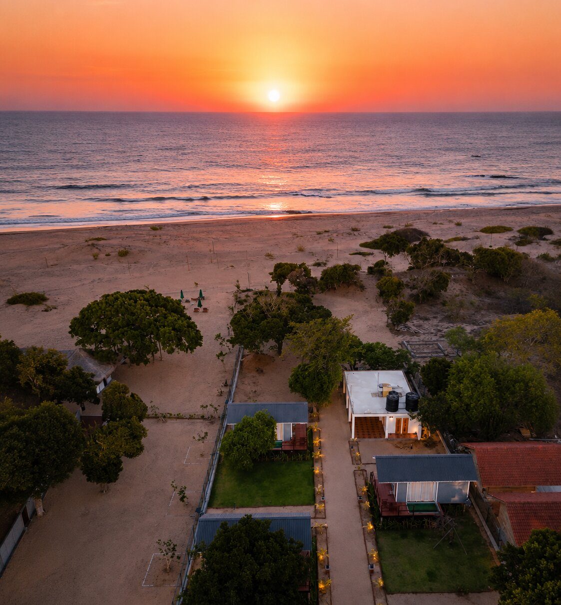 Leopard inn arugam bay