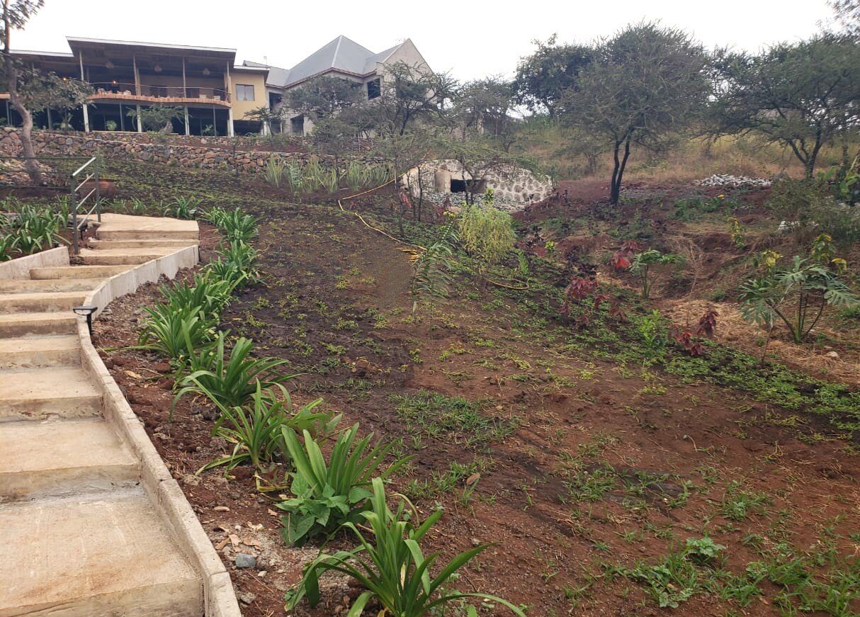 Arusha Eco Lodge
