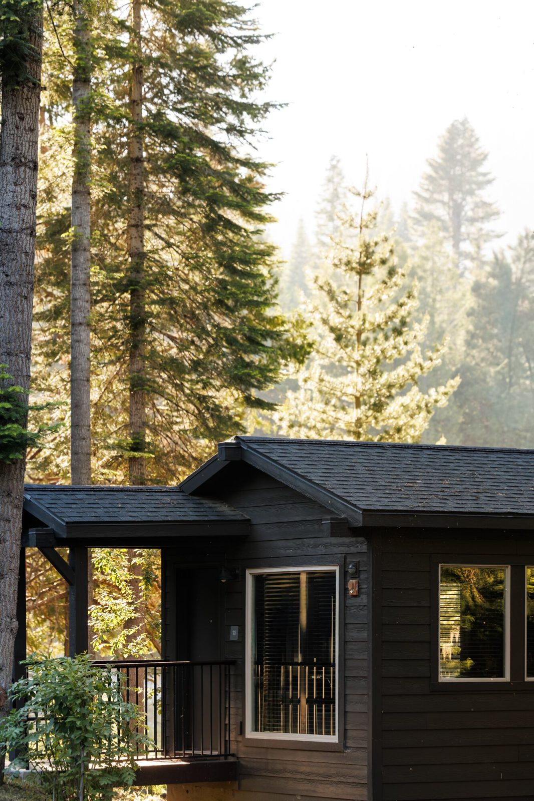 Waybound Yosemite